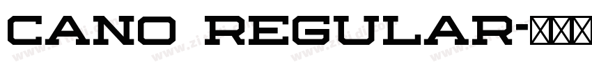 Cano Regular字体转换